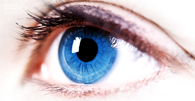 فواید رژیم کتوژنیک ؛ بهبود سلامت چشم