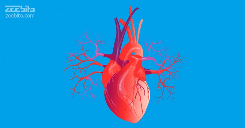 عوارض جانبی رژیم کتوژنیک ؛ تپش قلب