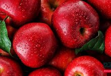 تصویر از رژیم سیب درختی در طب سنتی برای لاغری