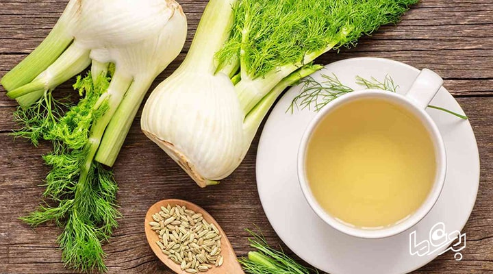چای رازیانه برای کاهش اشتها