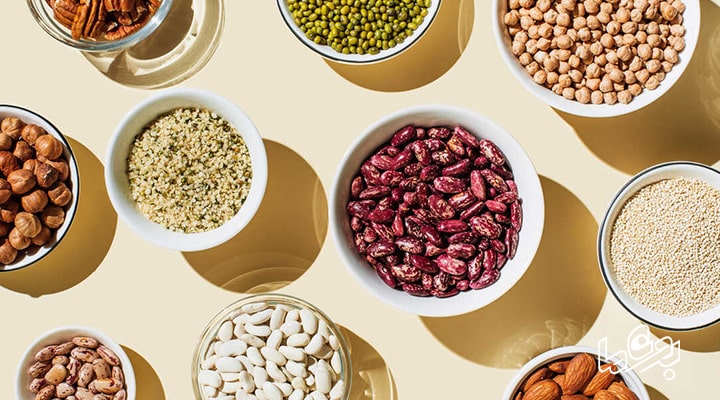 قش فیبر در احساس سیری و کاهش گرسنگی